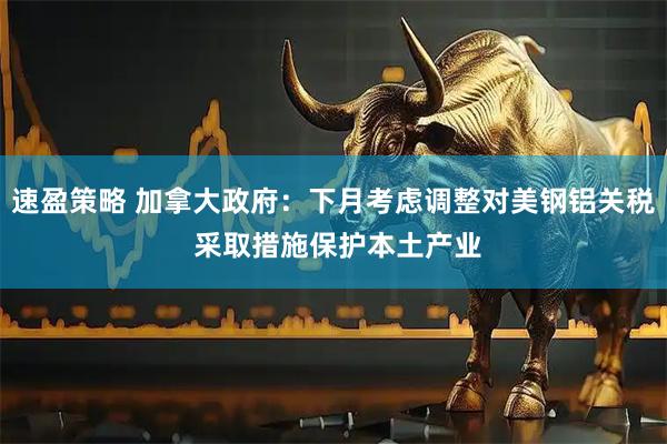速盈策略 加拿大政府：下月考虑调整对美钢铝关税 采取措施保护本土产业