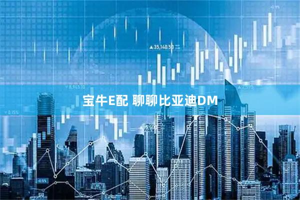 宝牛E配 聊聊比亚迪DM