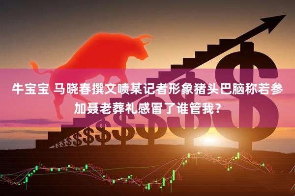 牛宝宝 马晓春撰文喷某记者形象猪头巴脑称若参加聂老葬礼感冒了谁管我？
