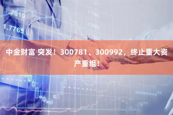 中金财富 突发!300781、300992,终止重大资产重组!