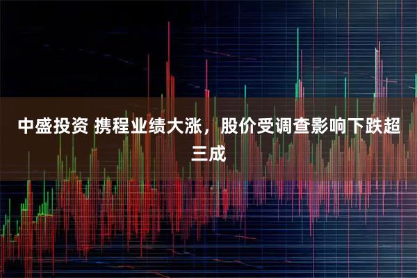 中盛投资 携程业绩大涨，股价受调查影响下跌超三成
