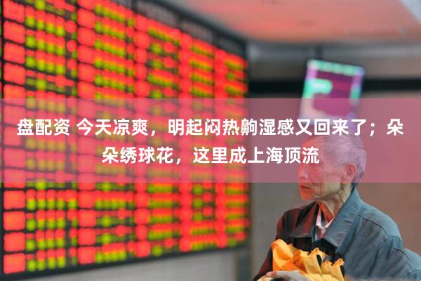 盘配资 今天凉爽，明起闷热齁湿感又回来了；朵朵绣球花，这里成上海顶流